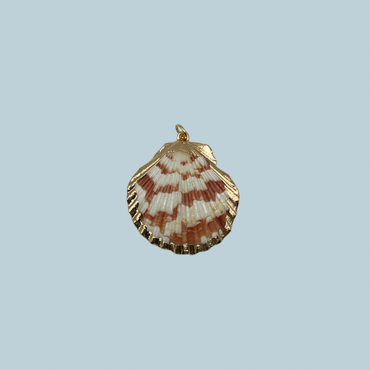 Gold Dipped Scallop Shell: Shades of Red