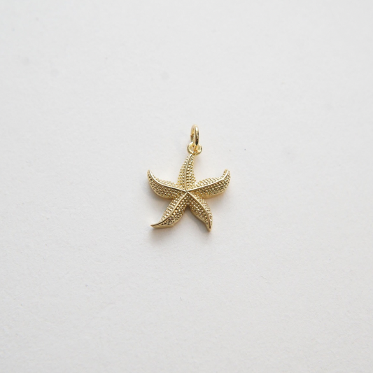 Golden Starfish