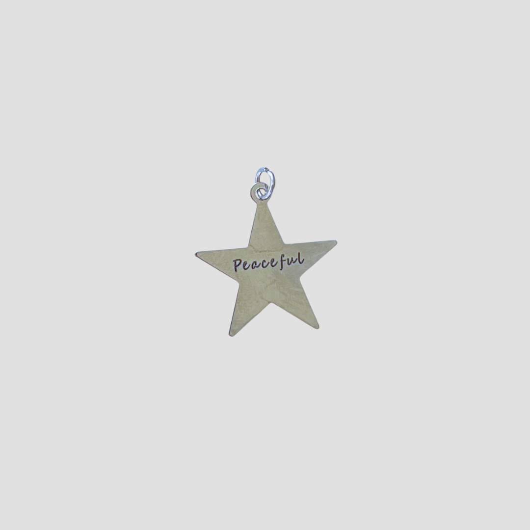 Affirmation Charms: Silver Star